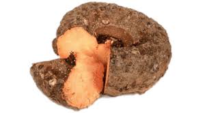 Elephant Yam (Suran)